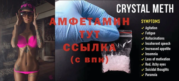 прущие грибы Новозыбков