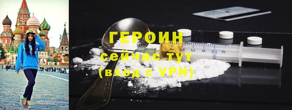 прущие грибы Новозыбков