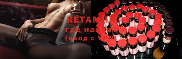 прущие грибы Новозыбков