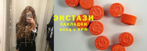 прущие грибы Новозыбков