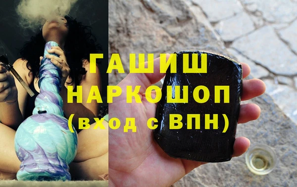 прущие грибы Новозыбков