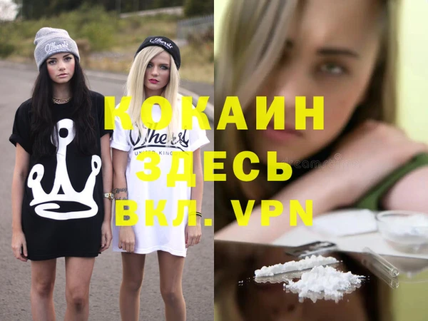 прущие грибы Новозыбков