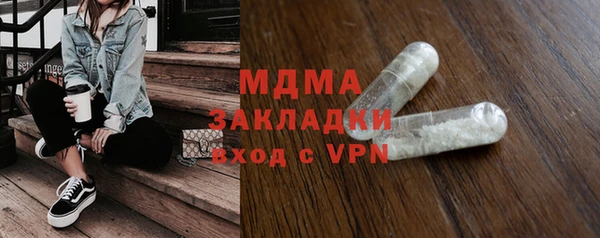прущие грибы Новозыбков
