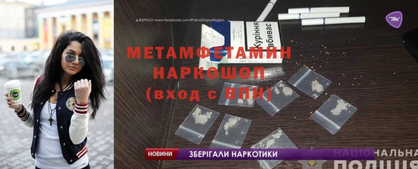 прущие грибы Новозыбков