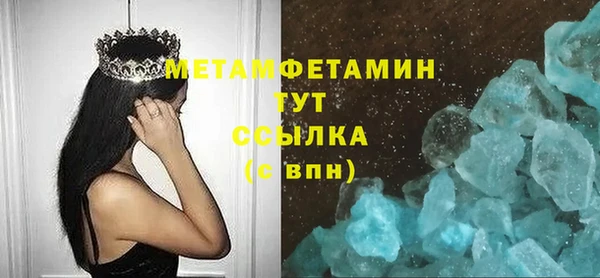 прущие грибы Новозыбков