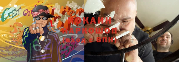 прущие грибы Новозыбков