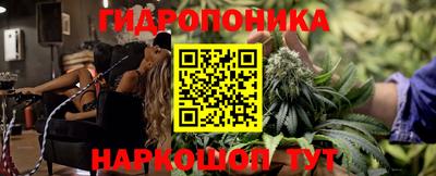 ALPHA PVP Аргун