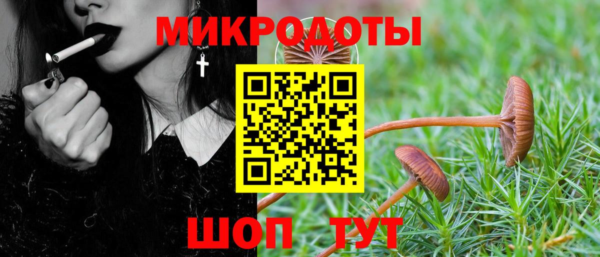 Псилоцибиновые грибы GOLDEN TEACHER Златоуст