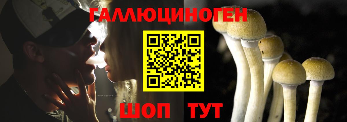 Псилоцибиновые грибы мицелий Златоуст